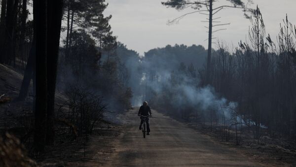 Incendios forestales en Portugal - Sputnik Mundo