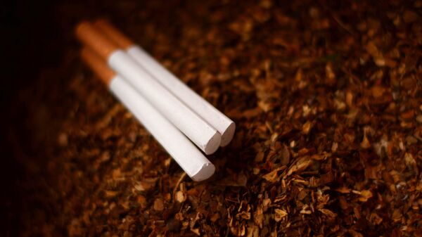 Tabaco (imagen referencial) - Sputnik Mundo