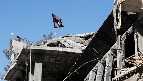 La bandera del grupo terrorista Daesh en la ciudad siria de Al raqa - Sputnik Mundo
