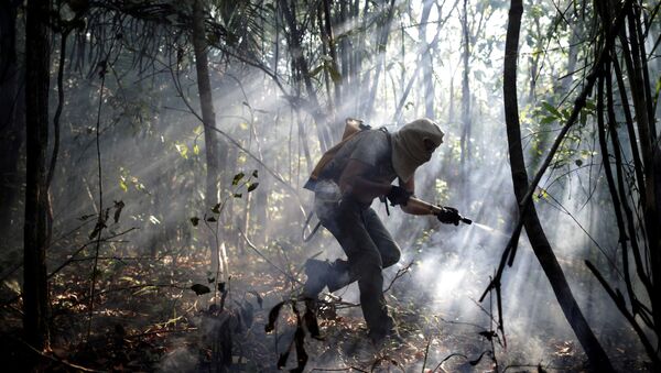 Un voluntario trata de apagar el incendeio en Brasil - Sputnik Mundo