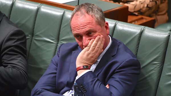 Barnaby Joyce, vice primer ministro de Australia - Sputnik Mundo