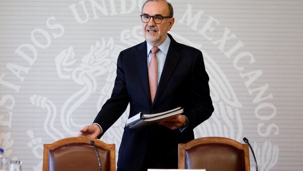 El subsecretario para América del Norte del Gobierno de México, Carlos Manuel Sada Solana - Sputnik Mundo