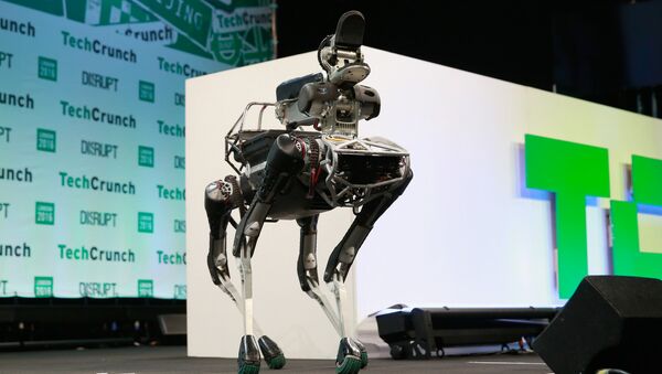 Un robot de cuatro patas de Boston Dynamics parecido a ANYmal - Sputnik Mundo