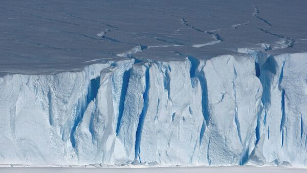 La Antártida (imagen referencial) - Sputnik Mundo