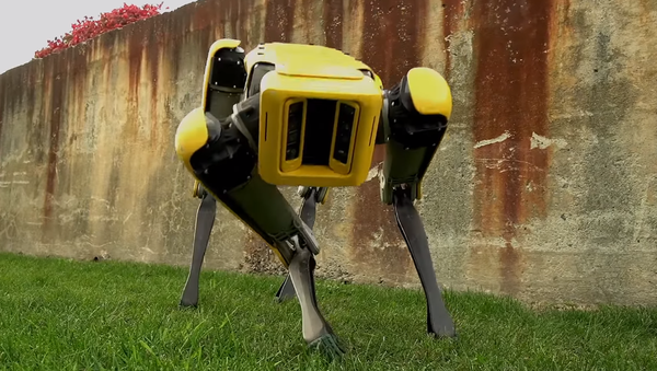 SpotMini, el robot de la empresa Boston Dynamics - Sputnik Mundo
