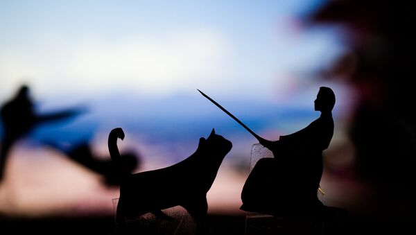 Una representación de un gato y un practicante de artes marciales - Sputnik Mundo