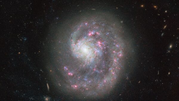 La galaxia NGC 4625 - Sputnik Mundo