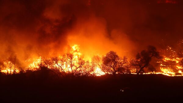 Incendios forestales en California - Sputnik Mundo