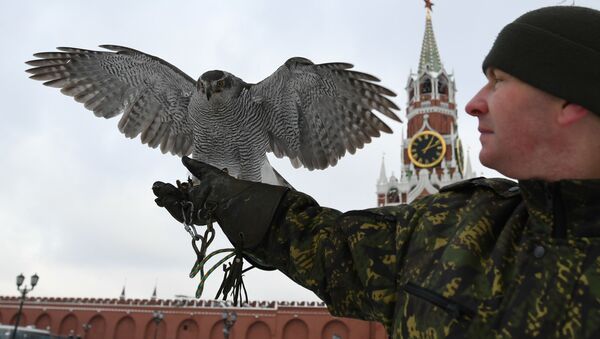 Los inusuales guardianes del Kremlin - Sputnik Mundo