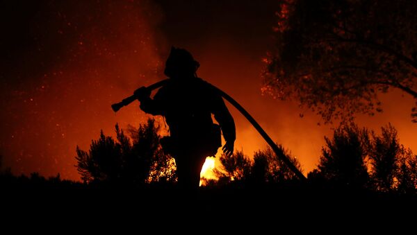 Incendios forestales en California - Sputnik Mundo