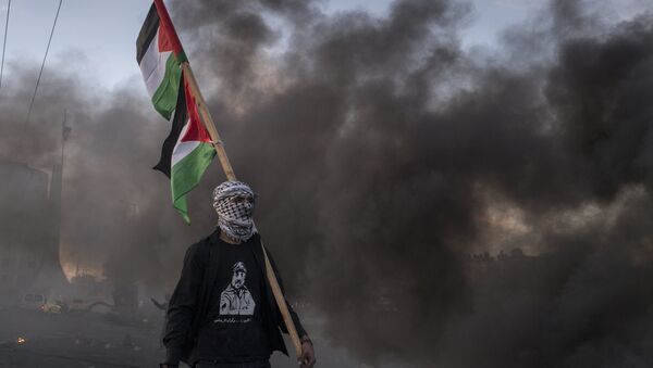 Un hombre con la bandera de Palestina - Sputnik Mundo