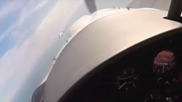 Un piloto logra evitar una colisión en el aire de manera milagrosa (vídeo) - Sputnik Mundo