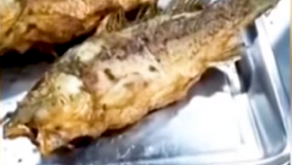 Un 'pez zombie' resucita después de ser cocinado y servido a una clienta - Sputnik Mundo