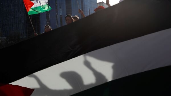 Manifestantes con banderas de Palestina - Sputnik Mundo