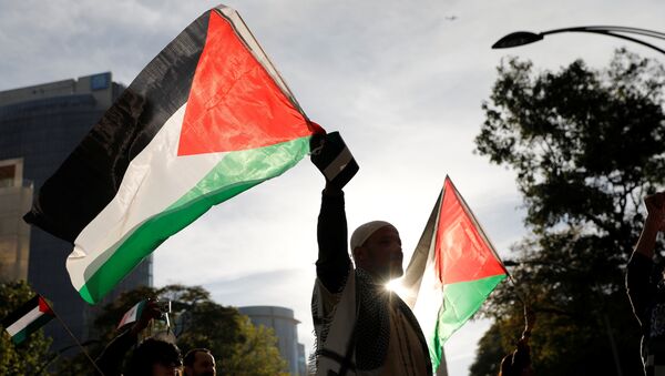 Un hombre con la bandera de Palestina - Sputnik Mundo
