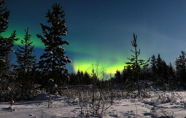La hipnótica danza de la aurora boreal en el Ártico ruso - Sputnik Mundo