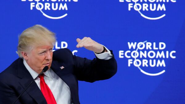 Donald Trump, el presidente de EEUU - Sputnik Mundo