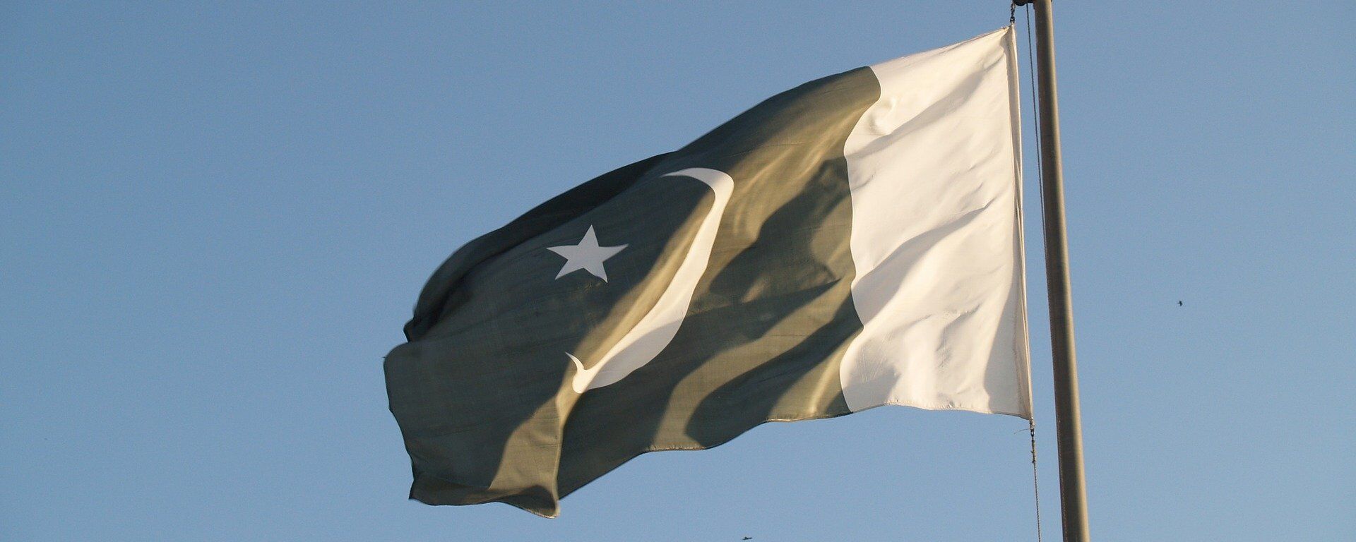 La bandera de Pakistán  - Sputnik Mundo, 1920, 19.08.2022