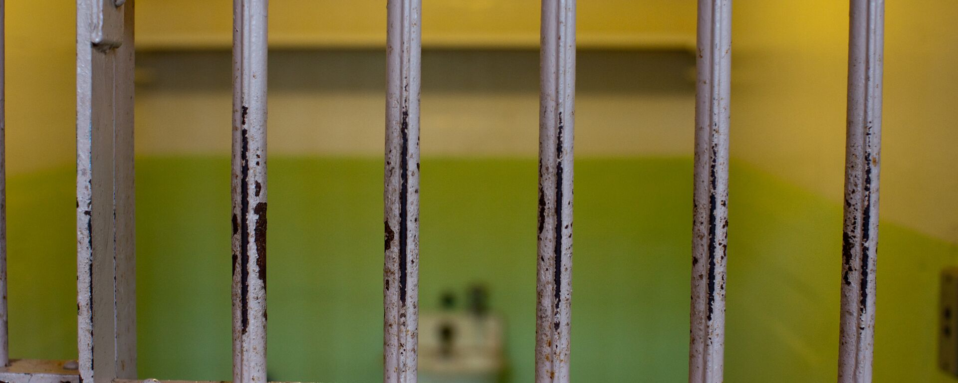 Las rejas de la cárcel (imagen referencial) - Sputnik Mundo, 1920, 03.05.2021