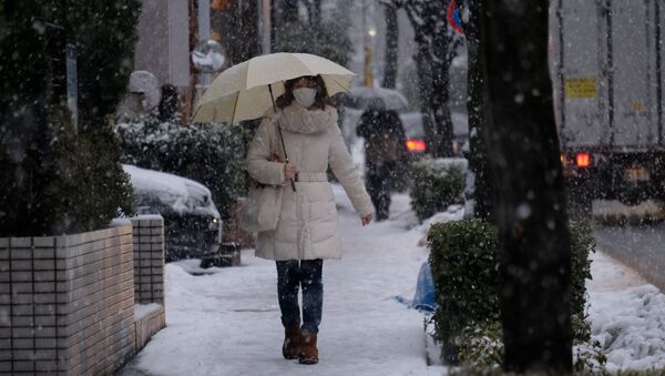 Una nevada en Tokio, Japón - Sputnik Mundo