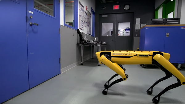 Un robot de Boston Dynamics - Sputnik Mundo