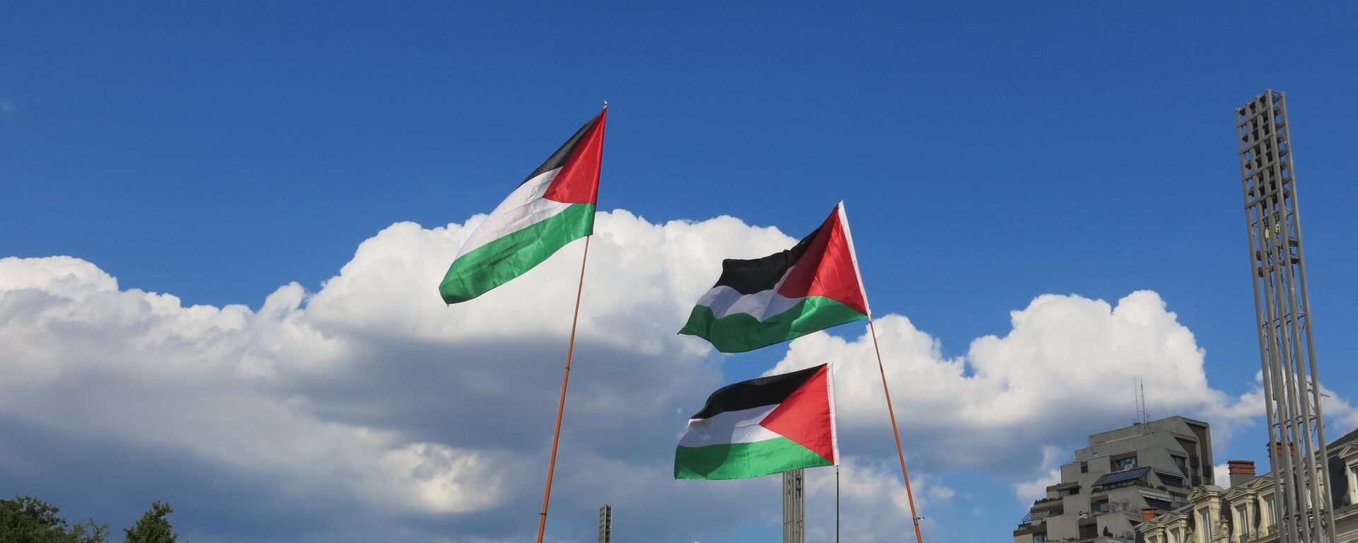 Banderas de Palestina - Sputnik Mundo, 1920, 24.10.2021