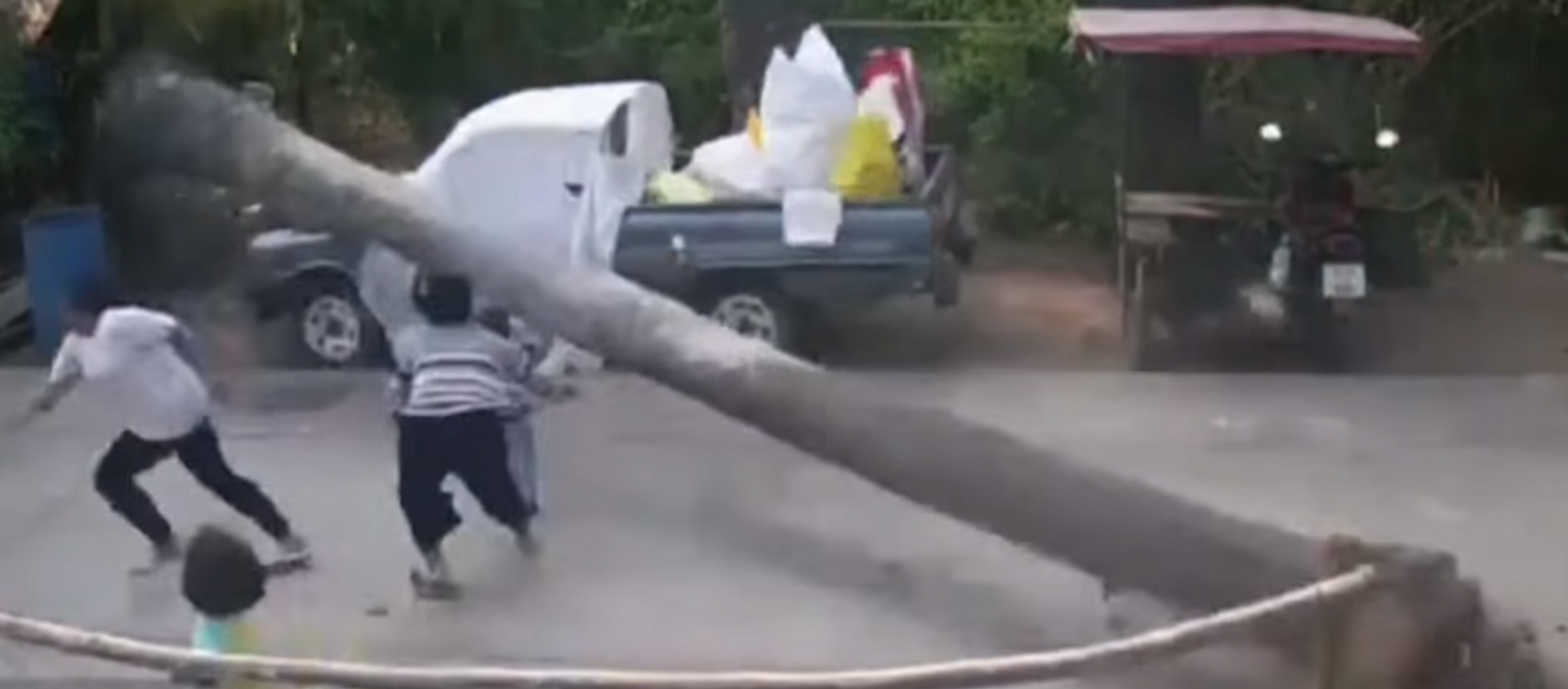 Una enorme palmera se cae a pocos centímetros de un niño en Tailandia - Sputnik Mundo, 1920, 18.02.2018