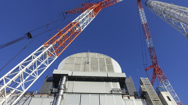 Sarcófago sobre el reactor de la central nuclear japonesa Fukushima-1 - Sputnik Mundo