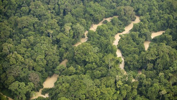 Un río en el estado de Pará (norte) de Brasil - Sputnik Mundo