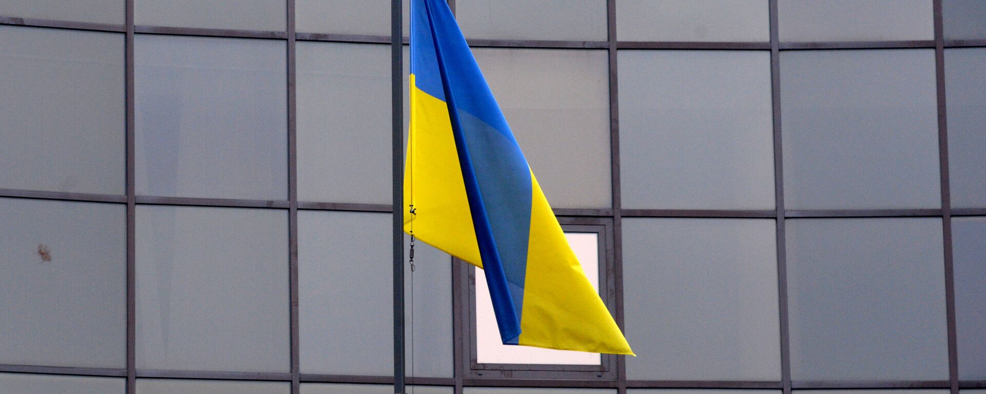 La bandera de Ucrania - Sputnik Mundo, 1920, 31.01.2024