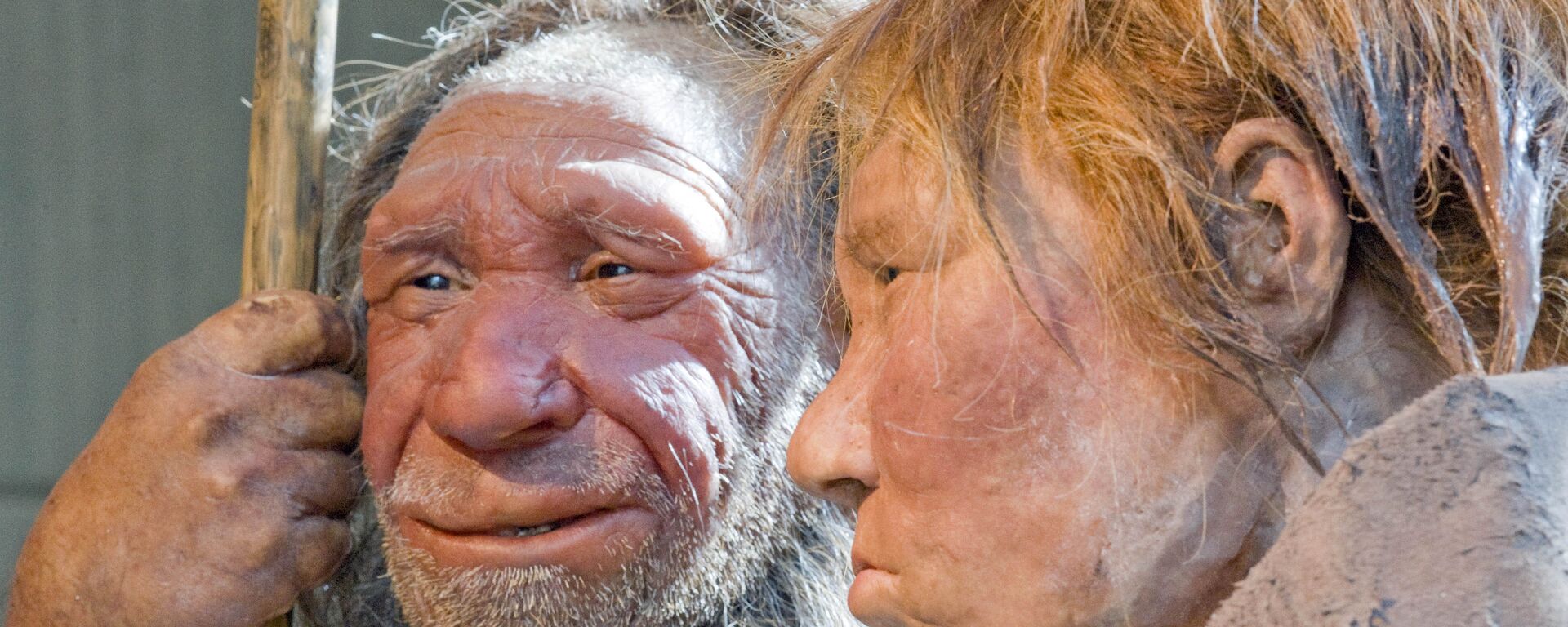 Reconstrucción plástica de dos neandertales en el museo de Mettmann, en Alemania - Sputnik Mundo, 1920, 10.02.2022