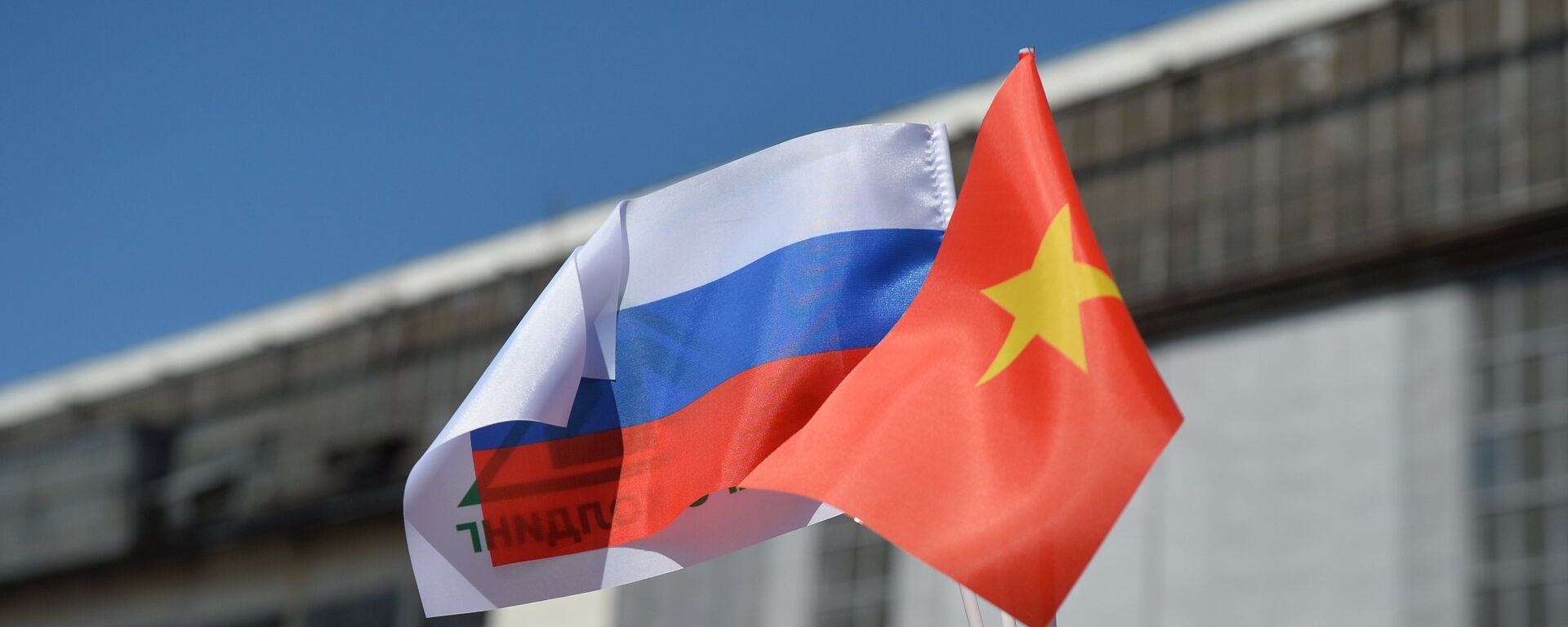 Banderas de Rusia y Vietnam - Sputnik Mundo, 1920, 23.11.2022