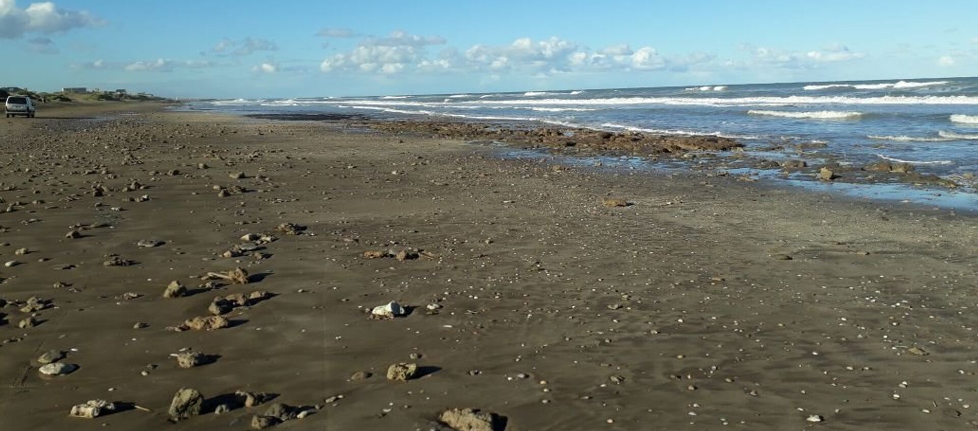 Playa argentina donde sucedió el hallazgo de un gliptodonte juvenil - Sputnik Mundo, 1920, 03.12.2020