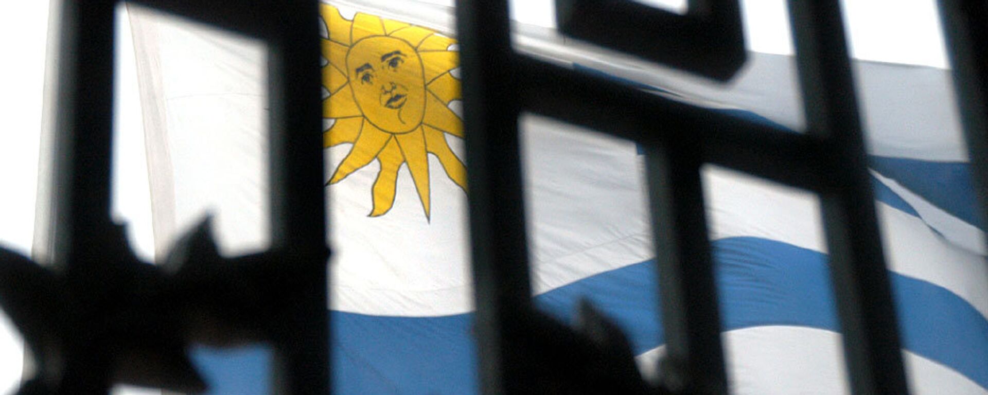 La bandera de Uruguay - Sputnik Mundo, 1920, 05.01.2021