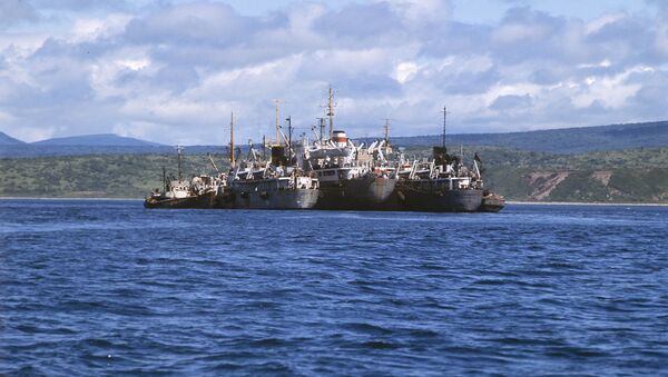 Barcos pesqueros (imagen referencial) - Sputnik Mundo