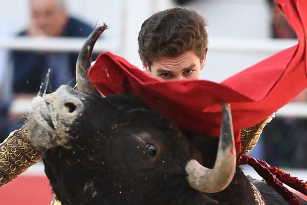 El torero español Ginés Marín durante una corrida de toros en Arles, al sur de Francia. - Sputnik Mundo