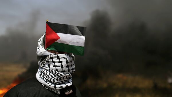 Un manifestante con la bandera de Palestina en la Franja de Gaza - Sputnik Mundo