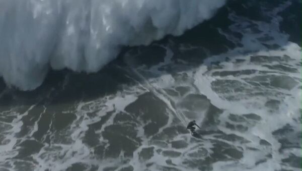 El sueño del surfista: conquistar la ola más grande del planeta - Sputnik Mundo