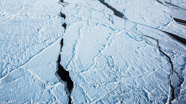 El hielo del Ártico (imagen referencial) - Sputnik Mundo