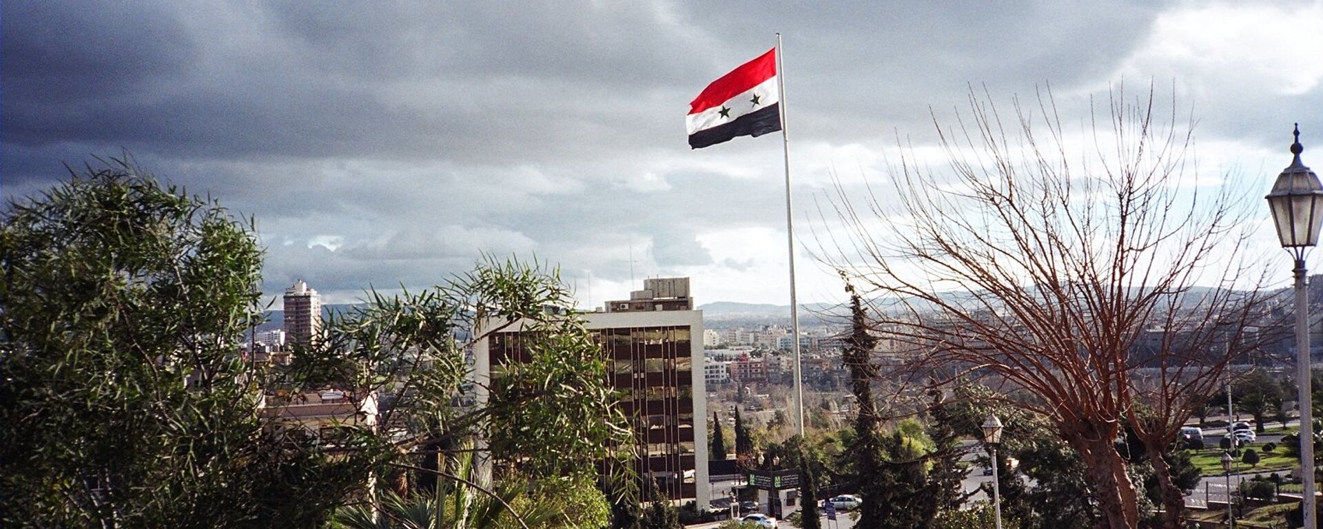 La bandera de Siria - Sputnik Mundo, 1920, 28.04.2021