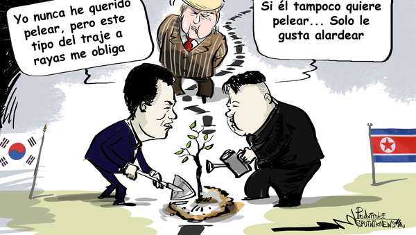 Los líderes de las dos Coreas plantarán un árbol en la línea de demarcación militar que separa los dos países - Sputnik Mundo