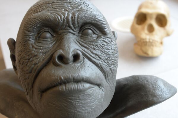 Реконструкция внешности Homo naledi - Sputnik Mundo