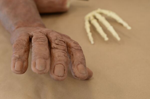 Скульптурная реконструкция руки Homo naledi и муляж костей кисти Homo naledi, полученный методом 3D печати - Sputnik Mundo