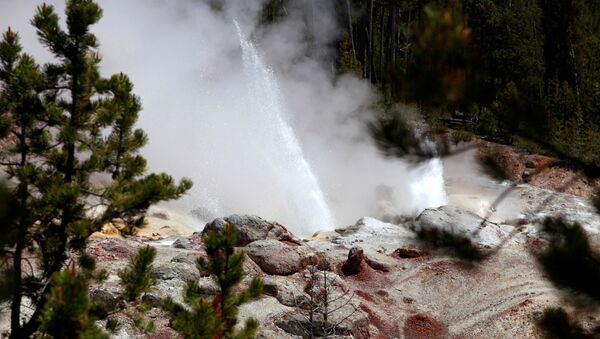Una erupción del géiser Steamboat, en el Parque Nacional de Yellowstone (archivo) - Sputnik Mundo
