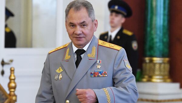 El ministro de Defensa de Rusia, Serguéi Shoigú, en Kremlin - Sputnik Mundo