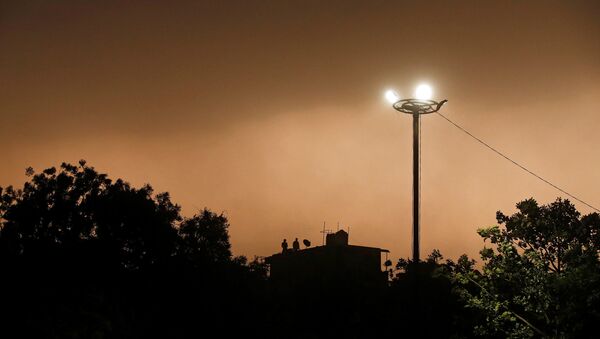 Una tormenta de polvo en Nueva Delhi, la capital de la India - Sputnik Mundo