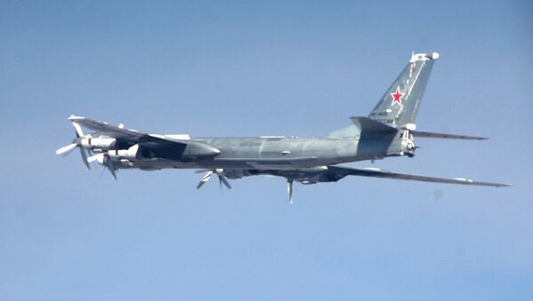 Portamisiles estratégico ruso Tu-95MS (foto referencial) - Sputnik Mundo