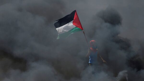 A boy holds a Palestinian flag as he stands amidst smoke during a protest against U.S. embassy move to Jerusalem - Sputnik Mundo
