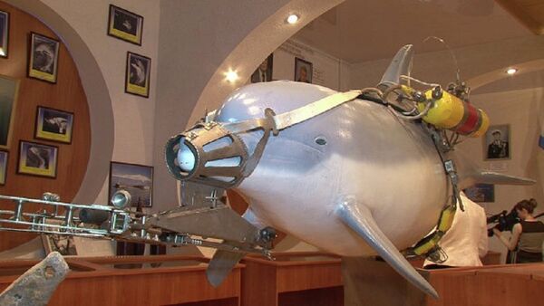 Equipo de combate de delfines crimeos - Sputnik Mundo