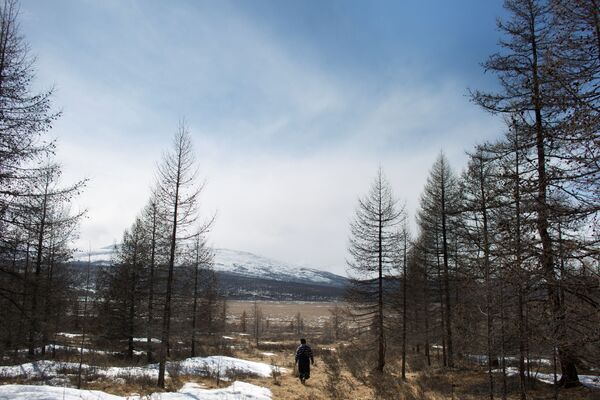 Cómo viven los últimos pastores de renos en Mongolia - Sputnik Mundo